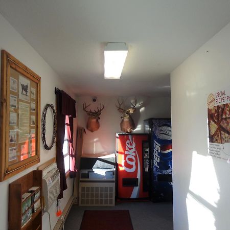 Tipperary Lodge Buffalo Luaran gambar